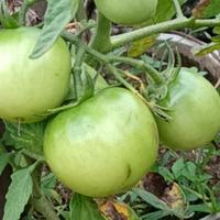 活着太累868头像