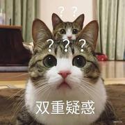 啊啥意思的个人资料头像
