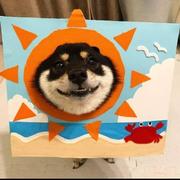 用户3727992049360的个人资料头像