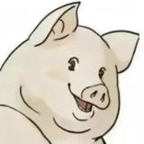 十一猪宝宝头像