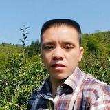 用户3682229946353头像