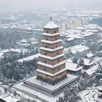 喜欢就好010头像