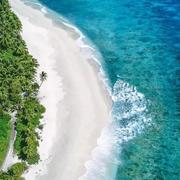 假装坚强的个人资料头像