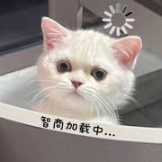 雪梨815的个人资料头像