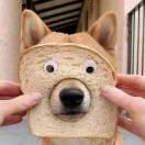 你好有人吗的个人资料头像