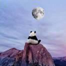 你听得到同志的个人资料头像