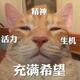 只做自己喜欢的事 · 宝马5系车主·车龄2年头像