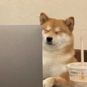 忘名了哈哈头像