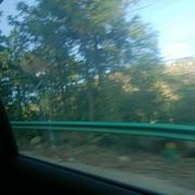 摆烂一哥的个人资料头像