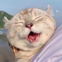 友情歳月919头像