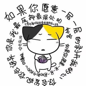 媛媛向头像