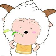 王小进的个人资料头像