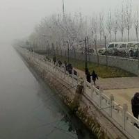 河北吉利与比亚迪车主头像