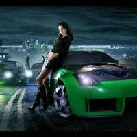 随性自由的船帆Ll头像