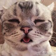 YOUUJUN的个人资料头像