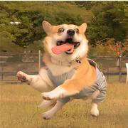 用户5468260012508的个人资料头像