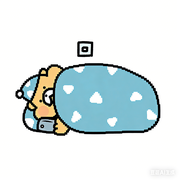 智取AI的个人资料头像