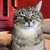 用户6812589200320头像