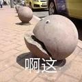 豁达松鼠8n1头像