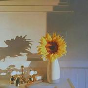 Ann731的个人资料头像