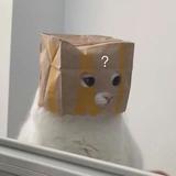 正大光明荷叶e0y头像