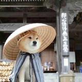 达萌雷婷头像