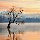 Yuanshuo的个人资料头像