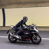 太空与游鱼头像