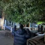 乐观杰西0v5S头像
