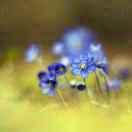 彬彬123的个人资料头像