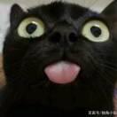 雨落生寒的个人资料头像