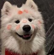 平常心z的个人资料头像