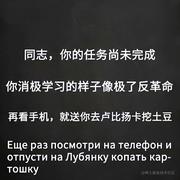 飞跃巅峰的个人资料头像
