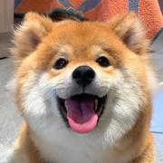 blankzz的个人资料头像