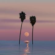 丅小飞象的个人资料头像