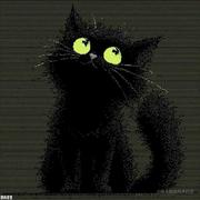 404星球的猫的个人资料头像