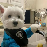 小鑫想要开雅阁头像