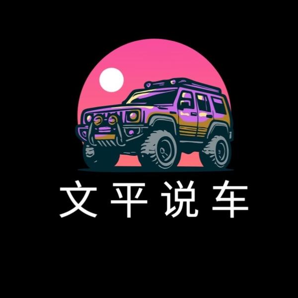 文平说车Cosmotex头像
