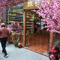 早安广东头像