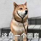 隔壁村的翠花的个人资料头像