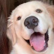 飞飞飞的的个人资料头像