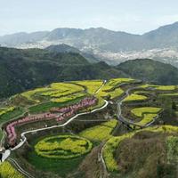 汪峰822头像
