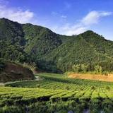 用户5696675836828头像