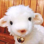 Favourite的个人资料头像