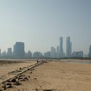 tj的个人资料头像