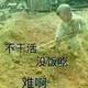 有你不孤单35497555头像