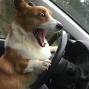 觉浅躬行的个人资料头像