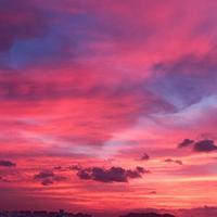 杉仔的叮当猫头像