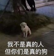 大师之路的个人资料头像