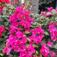 用户843695982754头像